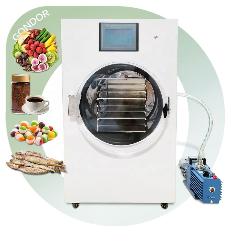 Household Lyophilizer Vaccum Dried Candy Home Use Oil Free Pump Freeze Dryer Machine for Food Commercial