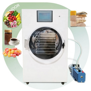 Tray Liofilizador Al Vacio Small Universal Homemade Food Grade Freeze Cold Trap Vacuum Dryer Fruit