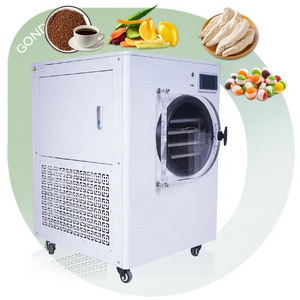 Oil Free Pump Household Lyophilizer Vaccum Dried Candy Home Use Freeze Dryer Machine for Food Commercial