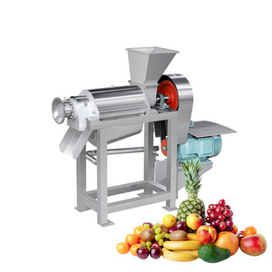 Industrial Melon Mango Pinnapple Mulberry Ginger Press Make Juicer Industrial Fruit Juice Machine