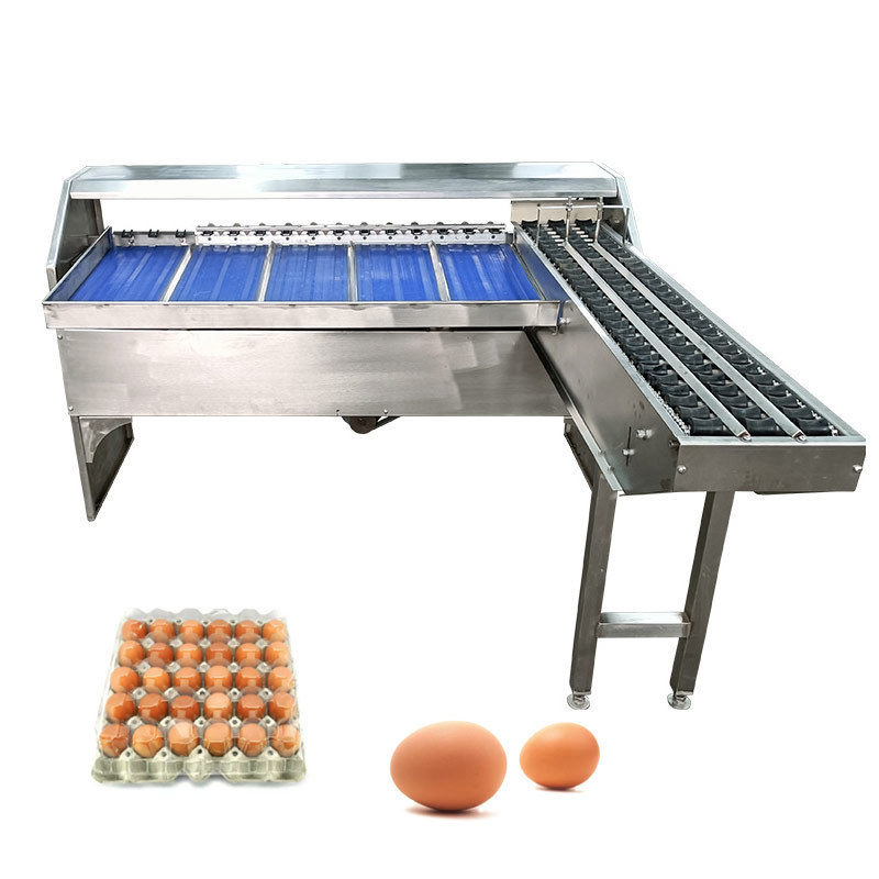 Automatic Electric Small Capacity Sizer Classifier Weigh Weight Washer Grader Pack Egg Clean Grade Machine