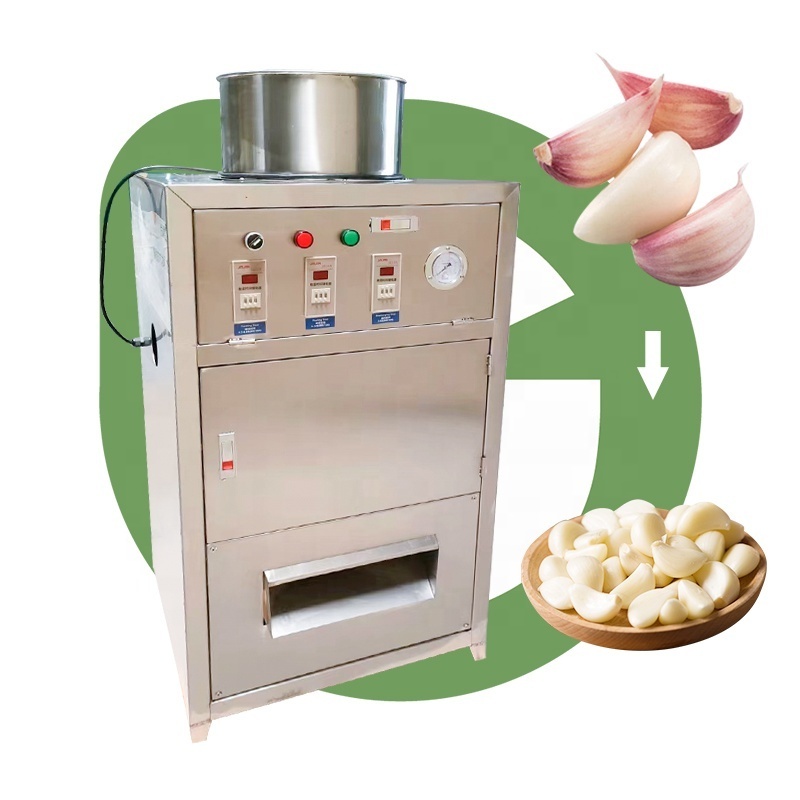 Automatic Professional 100kg Peladora De Ajo Make Garlic Separate Peeler Peel Machine Small in Egypt