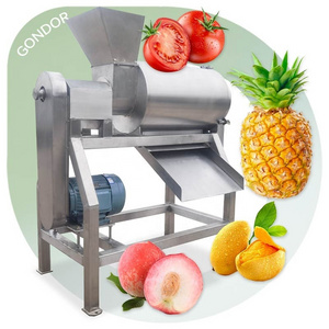 Seed Remover Small Mango Process Peach Juice Pulp Machine Pulper Despulpadora De Frutas Extractor