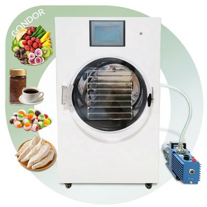 Liofilizador Small Home Dry Mini Candy Vacuum Drying Machine Freeze Dryer Freezing Equipment for Food