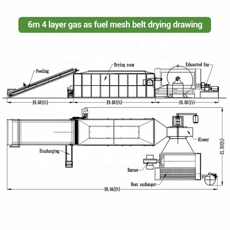 Ginger Garlic Date Corn Konjac Clove Fish Tomato Carrot Cassava Industrial Continuous Mesh Belt Dryer Machine