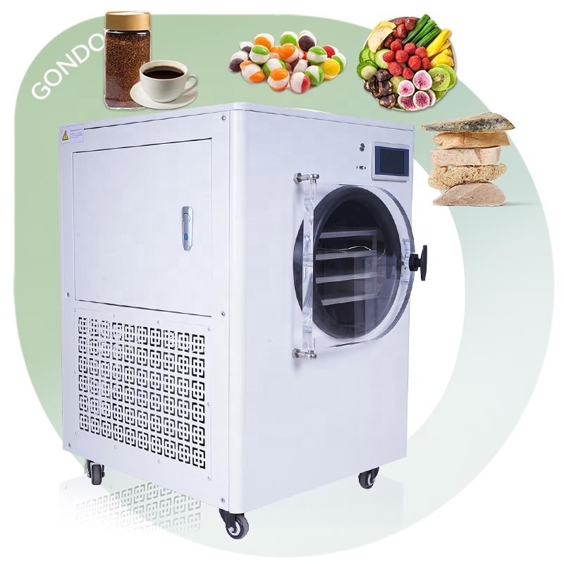 Small Pump 10 Sqm Lyophilizer Delta Dry Dried Foods Machine Home Use Vacuum Freeze Dryer for Food Herb Tea Fruit