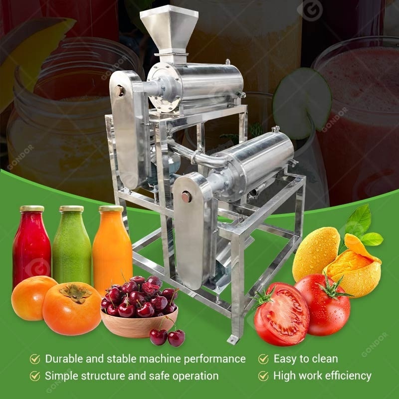 Beater Fruit Stainless Steel Pumpkin Coconut Pulp Machine Puree Extraction Mango pitting and Seed Separating