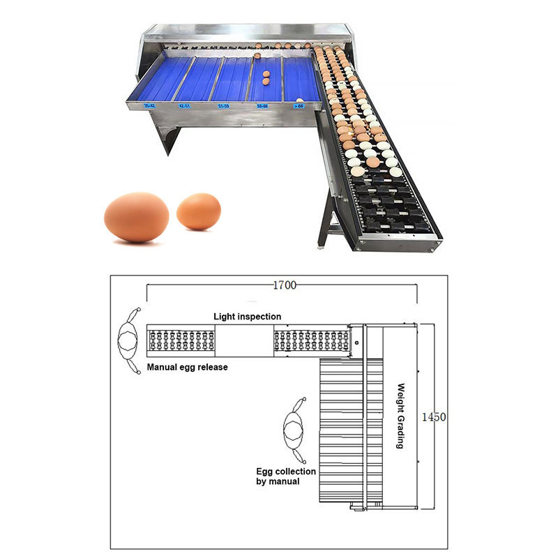 Automatic Electric Small Capacity Sizer Classifier Weigh Weight Washer Grader Pack Egg Clean Grade Machine