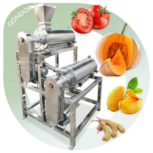 Puree Extraction Beater Fruit Stainless Steel Pumpkin Coconut Pulp Machine Mango pitting and Seed Separating