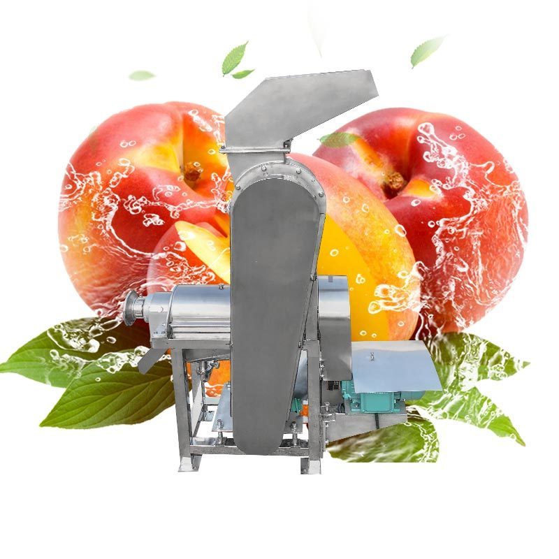 Industrial Melon Mango Pinnapple Mulberry Ginger Press Make Juicer Industrial Fruit Juice Machine