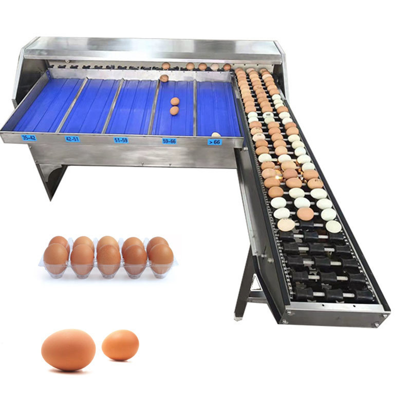 Automatic Electric Small Capacity Sizer Classifier Weigh Weight Washer Grader Pack Egg Clean Grade Machine