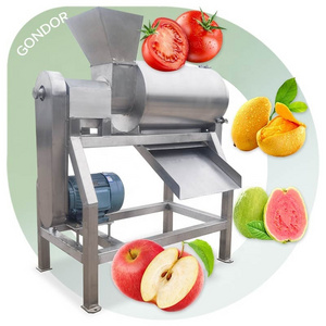 Fruit Grape Mango Destoner Pulper Finisher Raspberry Soursop Guava Pulp Jam Make Apple Puree Machine And