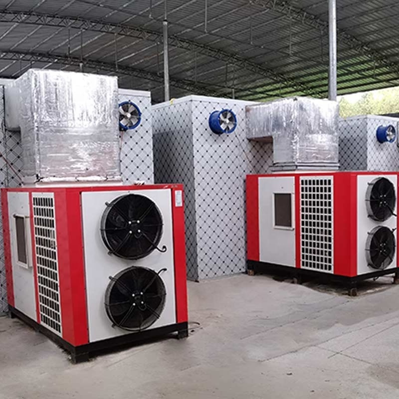 Fish Mango Wood Timber Fig Tomato Meat Fruit Dehydrator Heat Pump Dryer Drying Room Equipment for Oven