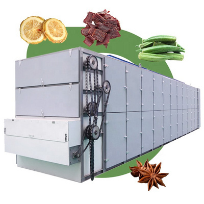 Ginger Garlic Date Corn Konjac Clove Fish Tomato Carrot Cassava Industrial Continuous Mesh Belt Dryer Machine