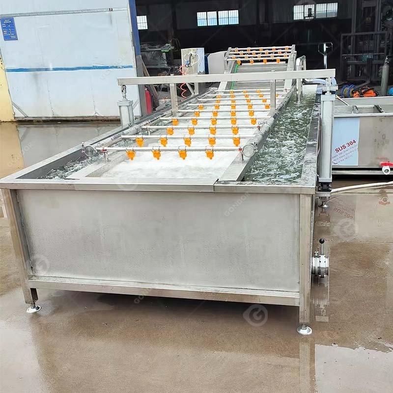 Commercial Orange Citrus Fruit Wash Machine Fruit Air Bubble Water Washer and Vegetable Wash for Fruit