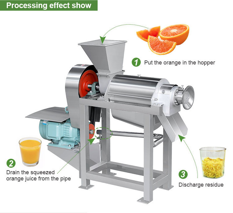 Small Juicer Make Pineapple Press Tomato Mango Extract Pulp Pulper Coconut Milk Fruit Juice Extractor Machine