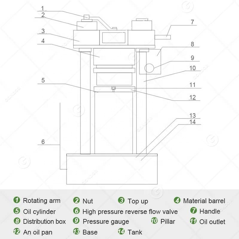 Sesame Cocoa Butter Presser Commercial Hydraulic Press Olive Avocado Oil Cold Extraction Machine from Italy