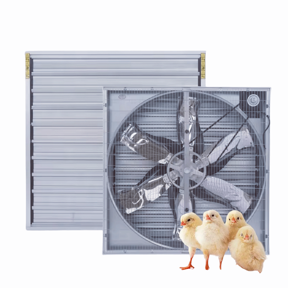 extractor de aire para invernadero industrial ventilation fans greenhouse air cooling aves de corral poultry wind exhaust fan