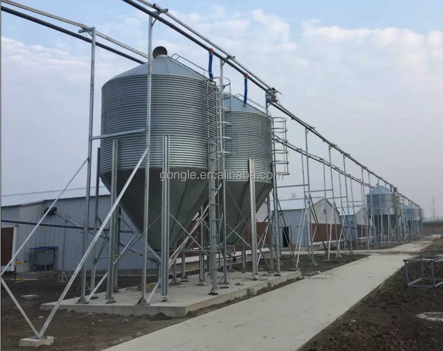 Poultry equipments 3000 kg small grain silos 3 ton  capacity with poultry feeding and drinking line automatic for poultry shed