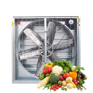 extractor de aire para invernadero industrial ventilation fans greenhouse air cooling aves de corral poultry wind exhaust fan