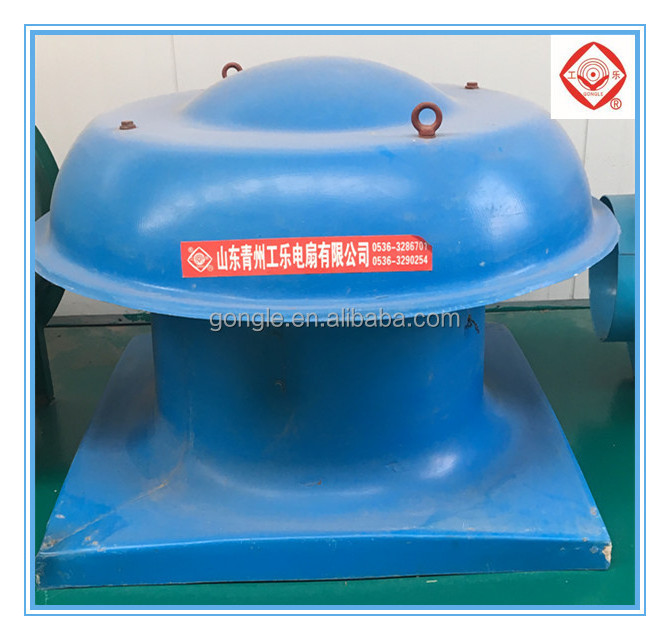 DWT roof axial fan for draughty  /mushroom shape roof ventilation fans /roof exhaust extractors