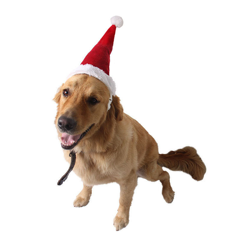 Factory Direct Sale Pet Supplies Pet Hat Soft Dog Cat Christmas Accessories Santa Hat