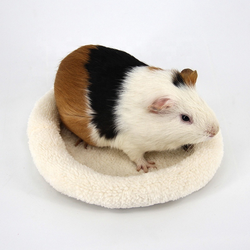 Cute Modern Round Design Small Animal Chinchillas Guinea Pig Pad Pet Mat Hamster Bed