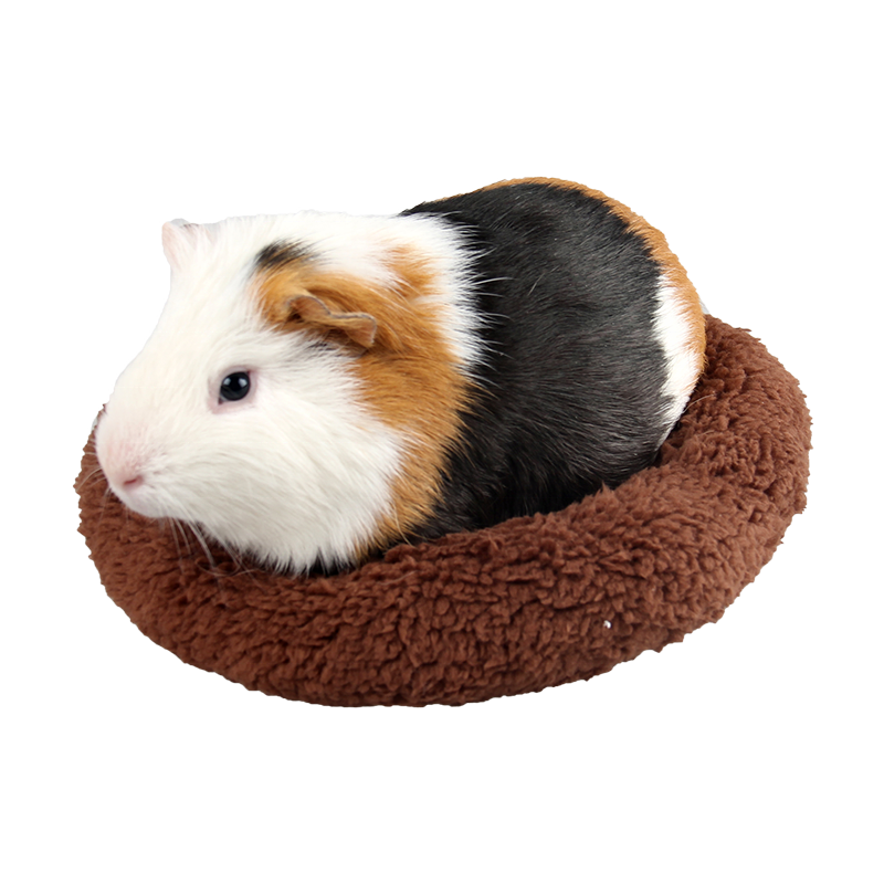 Cute Modern Round Design Small Animal Chinchillas Guinea Pig Pad Pet Mat Hamster Bed