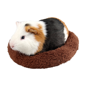 Cute Modern Round Design Small Animal Chinchillas Guinea Pig Pad Pet Mat Hamster Bed