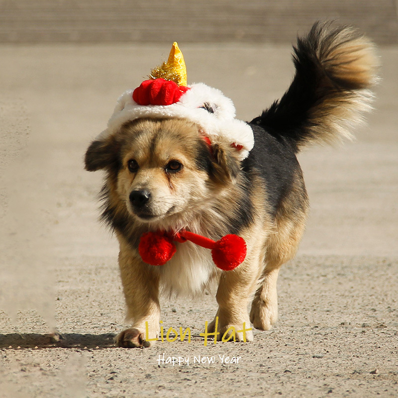 Funny Lovely Pet Lion Shape Hat Party Decoration Head Accessories for Cat Dog Soft Hat