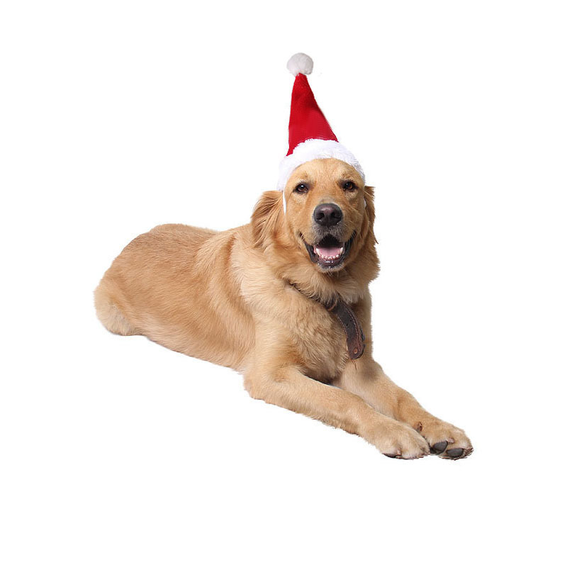 Factory Direct Sale Pet Supplies Pet Hat Soft Dog Cat Christmas Accessories Santa Hat