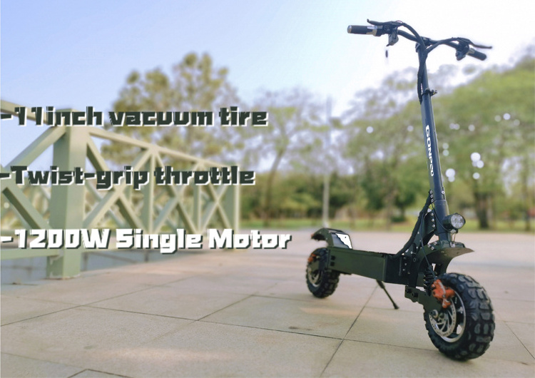 China Dualtron 1200w Motor Powerful Two Wheel 11 Inch Fat Tire Off Road Electric Scooter For Adults