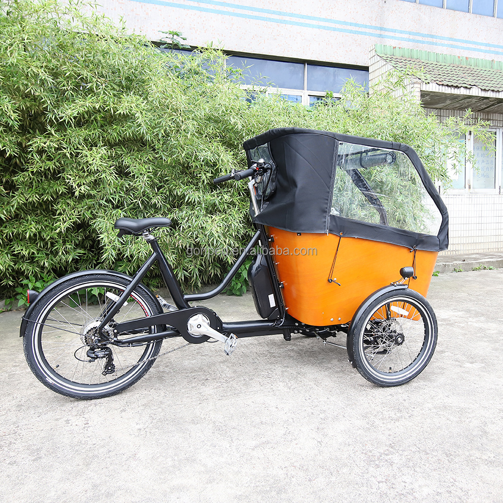 Electric Trike Electric Tricycle Three Wheels Adult Cargo Electric Bike 500w  250w Triciclo Electrico 3 Wheel Family Bike