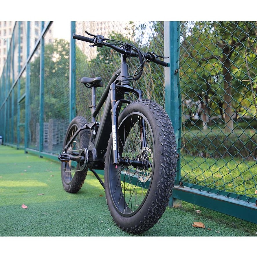 2021 48v electric bike with sidecar 20 inch ebike frame fat tire mountain bicycle