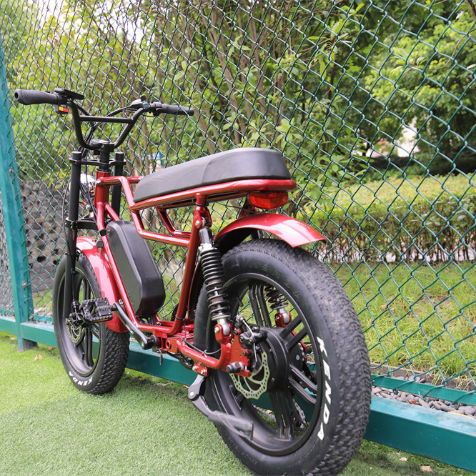 Gonped New Design Super New Power Electric Bike 2 Seat Electric Bike 48V 500W  Optional 73