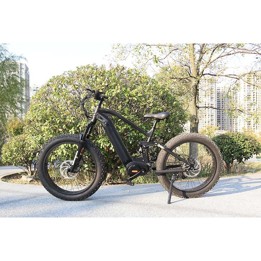 2021 48v electric bike with sidecar 20 inch ebike frame fat tire mountain bicycle