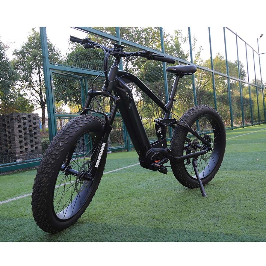 2021 48v electric bike with sidecar 20 inch ebike frame fat tire mountain bicycle