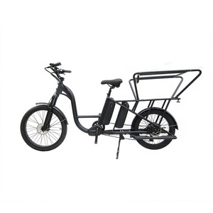 Long Range Dual Battery 48V 500W Cargo Bike Electric Ebike E-Cargo Family E Bicycle With Luggage Carrier Child Guardrail