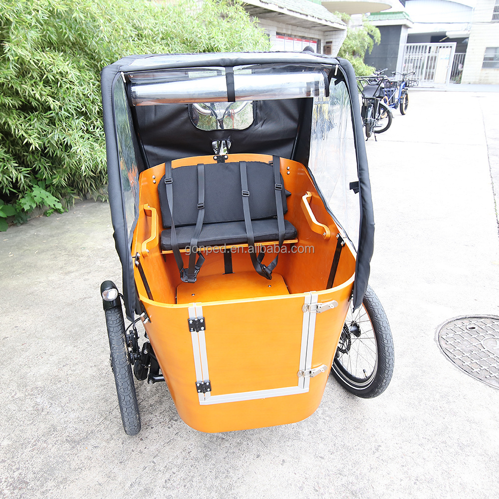 Electric Trike Electric Tricycle Three Wheels Adult Cargo Electric Bike 500w  250w Triciclo Electrico 3 Wheel Family Bike