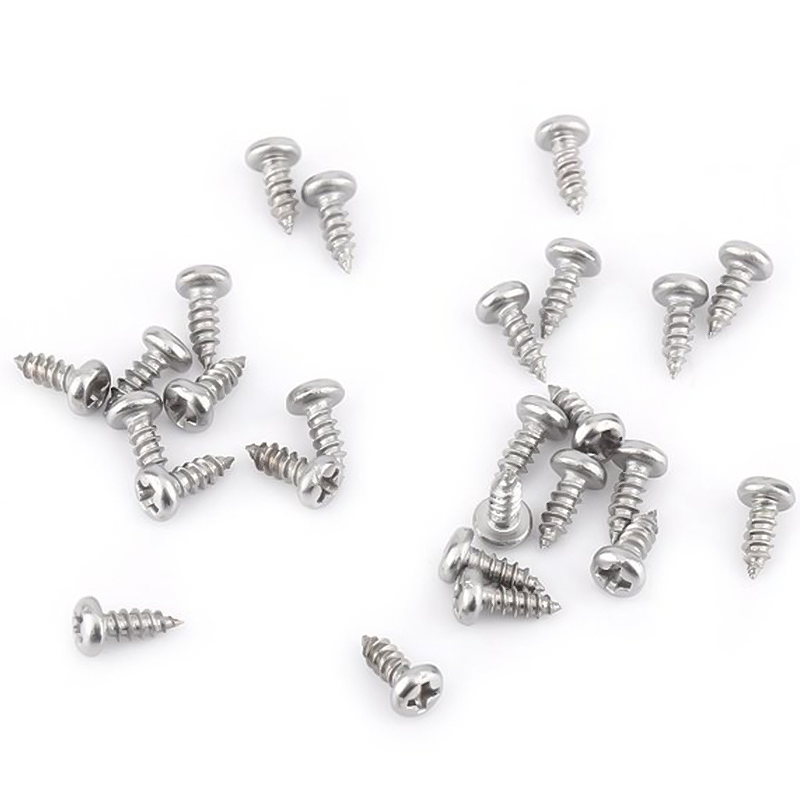 stainless Steel screw SS304 Pan/Flat Head Self tapping Screw Assortment Wood Screw