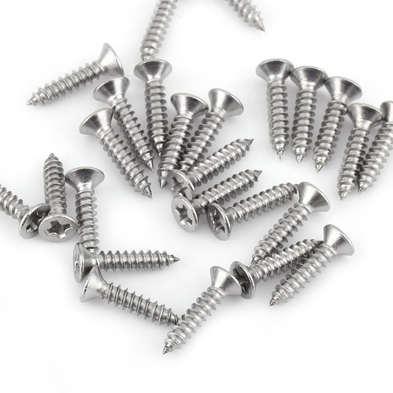 stainless Steel screw SS304 Pan/Flat Head Self tapping Screw Assortment Wood Screw