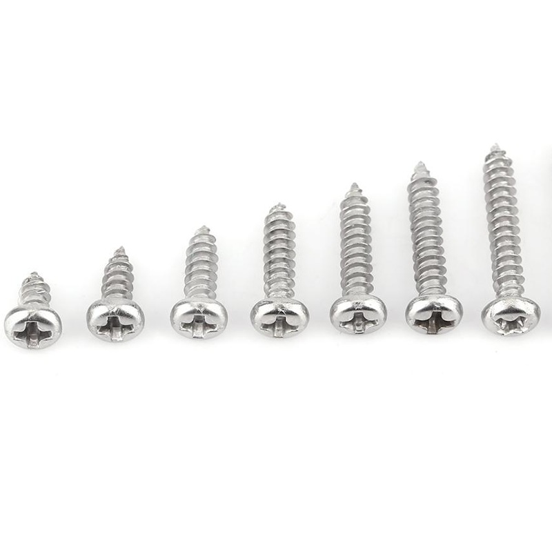 stainless Steel screw SS304 Pan/Flat Head Self tapping Screw Assortment Wood Screw