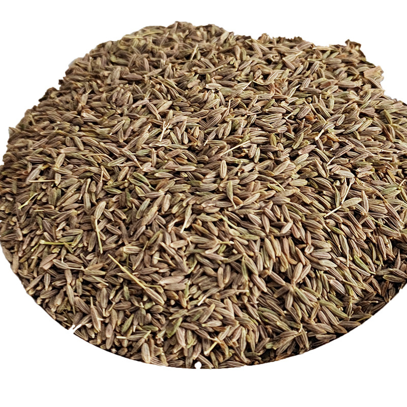 Kreuzkummelsamens  Semillas de comino green dried Cumin Seed Factory Supply Wholesale Price Cumin