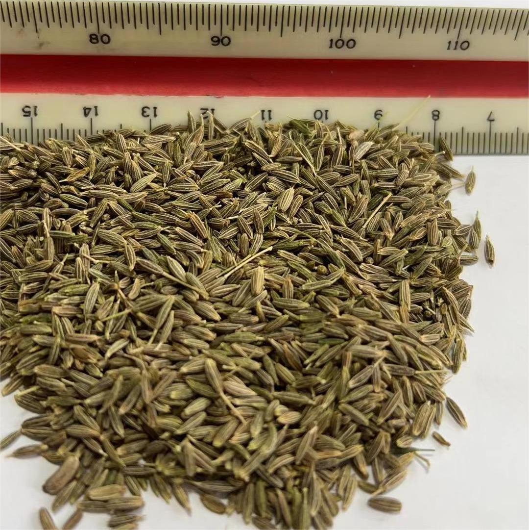 2023 new crop wholesale 100% pure Quality low price Kreuzkummelsamens  Semillas de comino green dried Cumin Seed