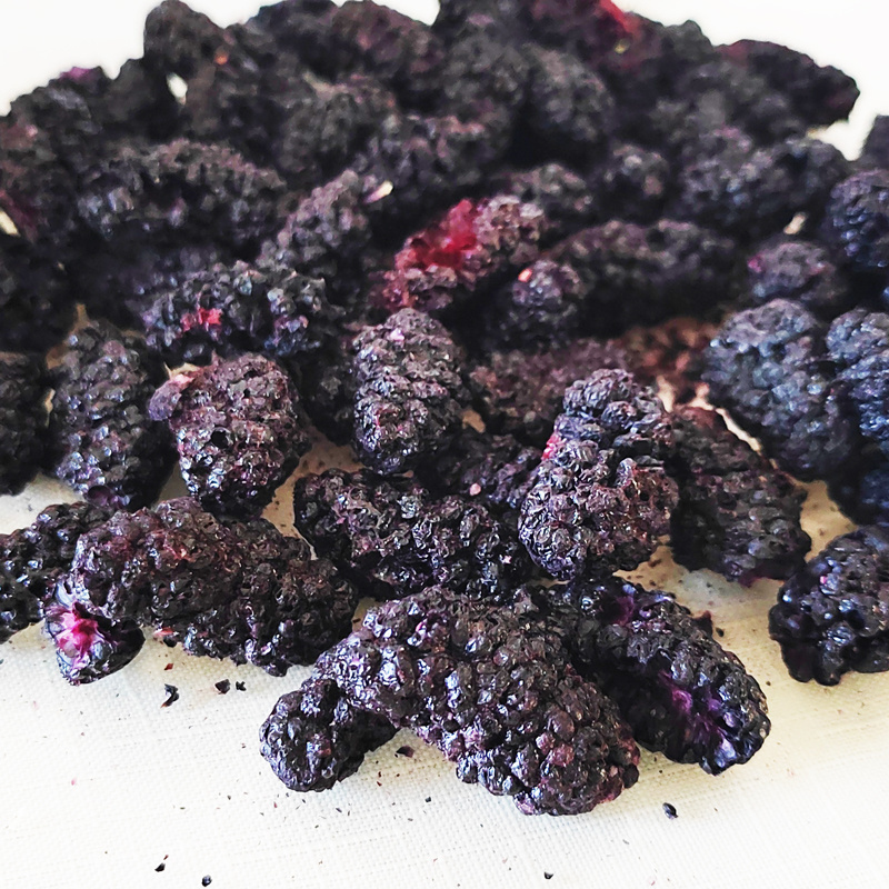 China Factory Manufacture High Quality Natural Dried Mulberry Bulk Dried Black Mulberry Fruit