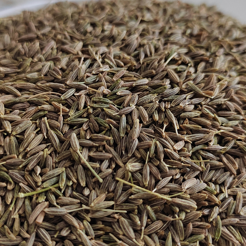 Cumin Seeds Semillas de comino green dried cumin noir entier seche