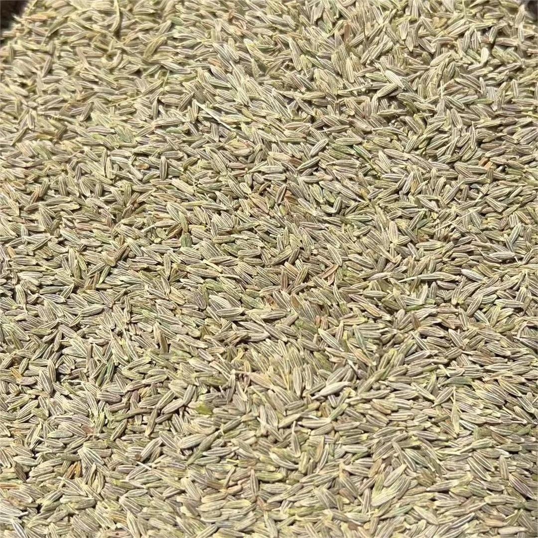 2023 new crop wholesale 100% pure Quality low price Kreuzkummelsamens  Semillas de comino green dried Cumin Seed