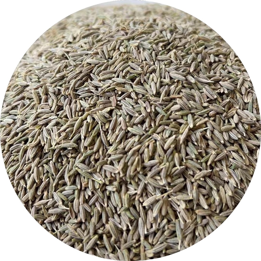 2023 new crop wholesale 100% pure Quality low price Kreuzkummelsamens  Semillas de comino green dried Cumin Seed