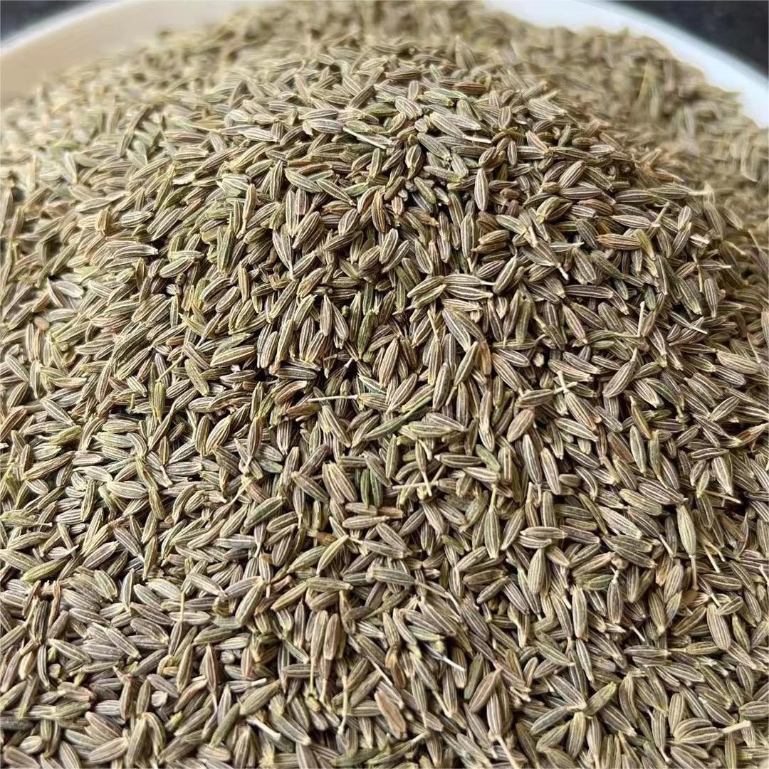 2023 new crop wholesale 100% pure Quality low price Kreuzkummelsamens  Semillas de comino green dried Cumin Seed