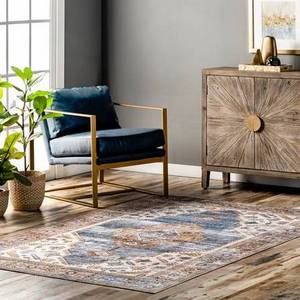 New Machine Washable Floor Carpet Rugs Vintage Persian Living Room Turkish Foldable Area Rug